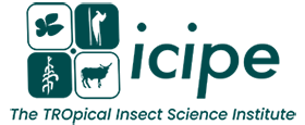icipe logo